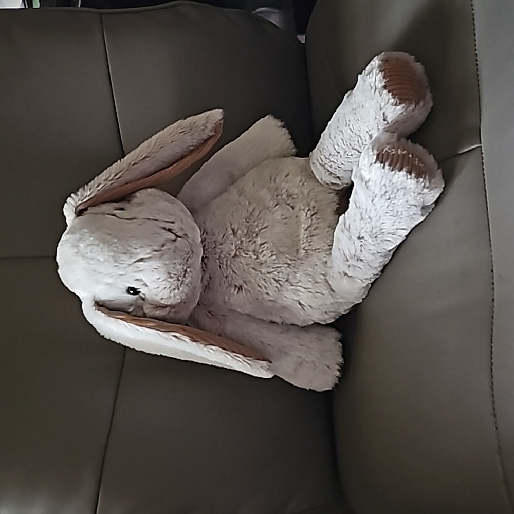 Retired Rare Scentsy Buddy